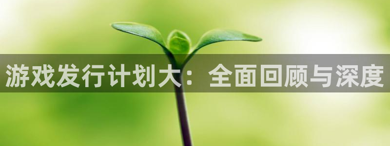 火狐电竞app官网子文化创意加好友：游戏发行计划大：全面回顾与深度