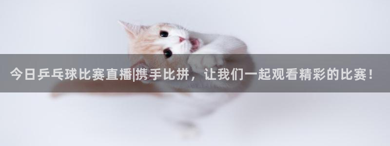 51视频在线直播nba