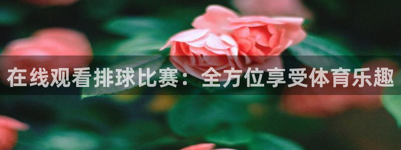 51视频在线直播nba：在线观看排球比赛：全方位享受体育乐趣
