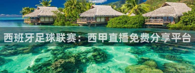 51视频在线直播nba：西班牙足球联赛：西甲直播免费分享平台